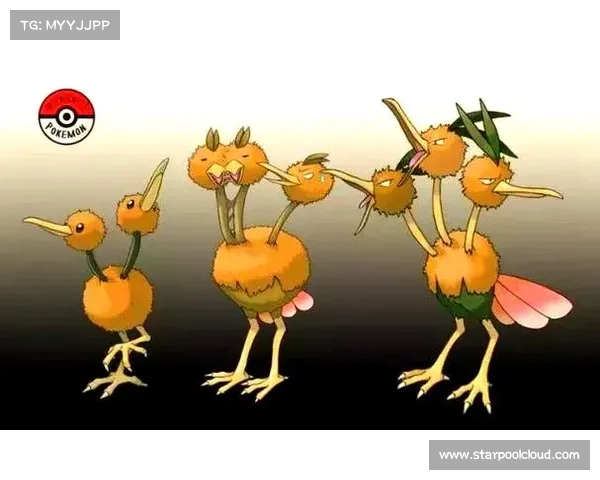 波克比的成长奇迹从萌芽起点到最终进化形态的奇妙旅程